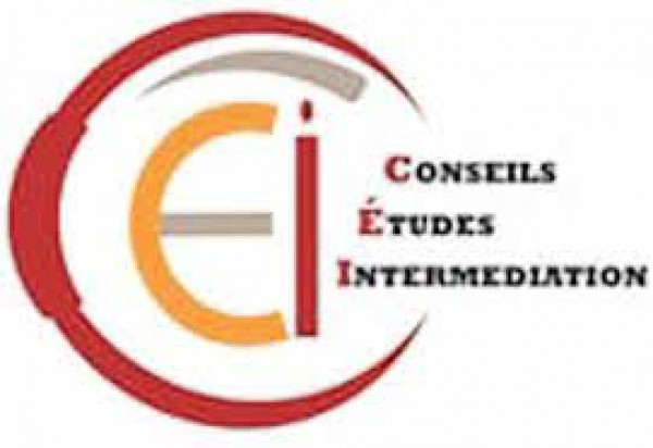 Logo de Cabinet CEI