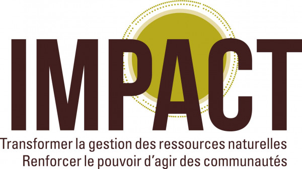 Logo de l'ONG INTERNATIONAL IMPACT