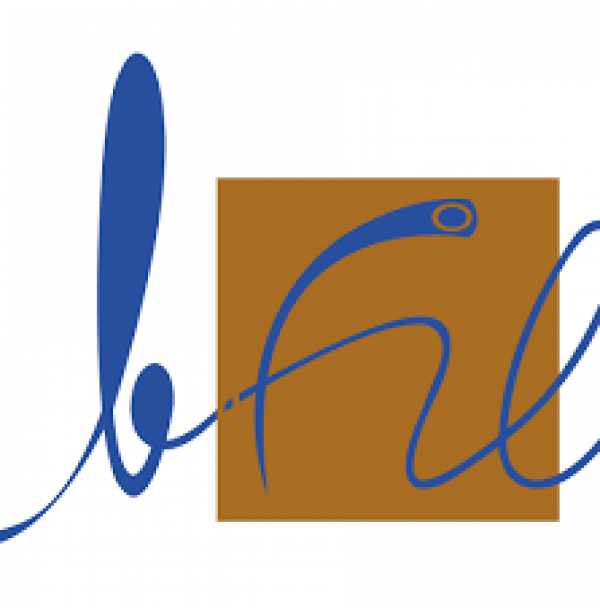 Logo de LE FIL MALI