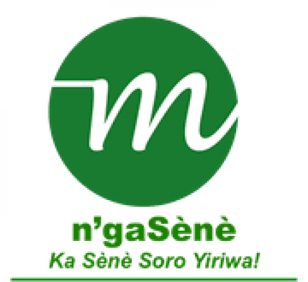 Logo de N’GASÈNÈ SARL