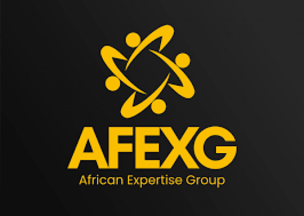 Logo de AFRICAN EXPERTISE GROUP SARL