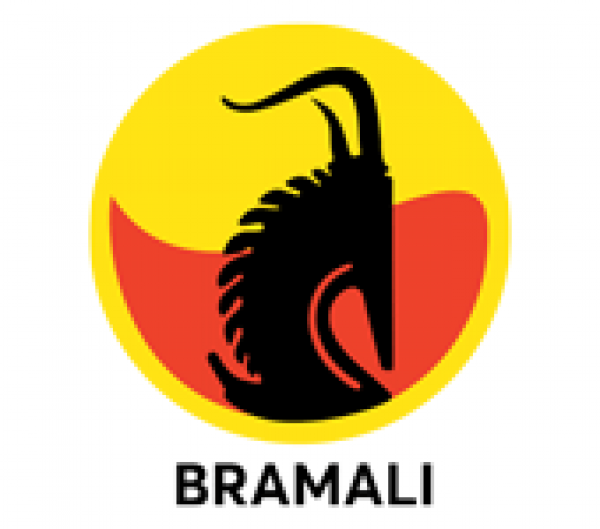 Logo de Bramali