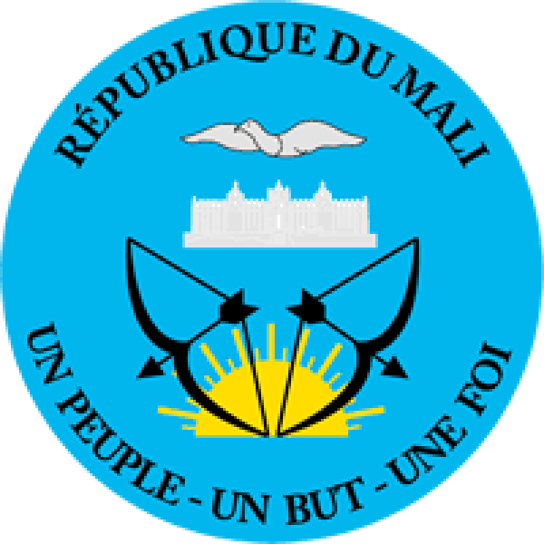 Logo de MINISTÈRE DE LA SANTÉ ET DU DÉVELOPPEMENT SOCIAL – RÉPUBLIQUE DU MALI